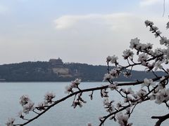 -颐和园