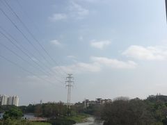 -广东花都湖国家湿地公园