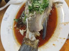 -鸿达渔港