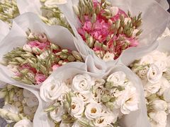 -循礼门鲜花花市(武汉循礼门店)