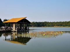 -溱湖国家湿地公园