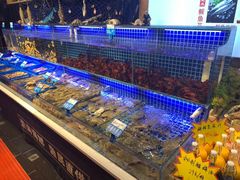 水产区-必点海鲜·鲅鱼水饺(鞍山西道店)