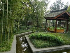 -四川大学(华西校区)