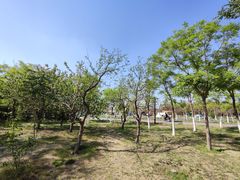 -天津东丽湖风景区