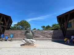 -广东惠东海龟国家级自然保护区