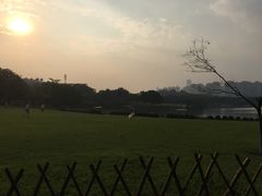 -东莞植物园