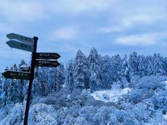 -瓦屋山景区