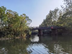 -溱湖国家湿地公园