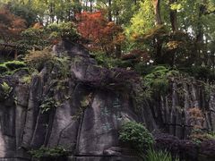 -南山植物园