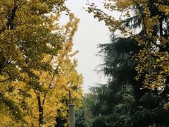 -龙头寺公园