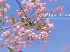 -济南植物园