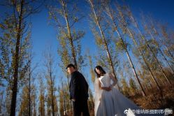 点击看大图 -维纳斯婚纱摄影(鞍山店)