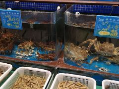 水产区-蓝港海鲜厨房(金水路店)