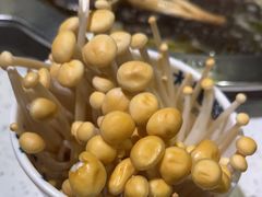 -大龙燚火锅