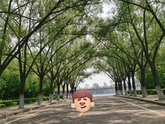 -哈尔滨师范大学(松北校区)