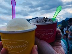 -Patagonia Chocolates(皇后镇店)