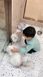 -Moni星球萌宠·小马宝莉·灵蛇·高端高阶全萌宠互动体验俱乐部(红豆国际广场店)