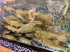 -顺德一品粥·20年凤城老字号(芳村店)