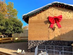 -HERRE·FARM 赫尔露营农场·团建聚会包场