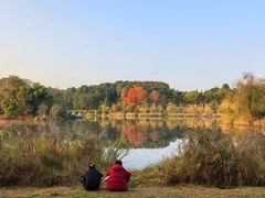 -白鹭湾湿地公园