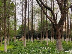 -南昌青山湖风景区