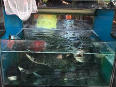 -全乐鱼馆·淳牌有机鱼直营店
