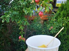 -通仁市场