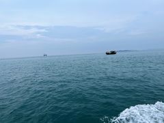 -小猫钓鱼海钓俱乐部(椰梦长廊店)