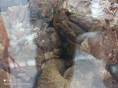 酱牛肉-上海牛羊肉公司塘沽路清真门市部