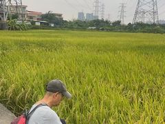 -低涌(地铁站)