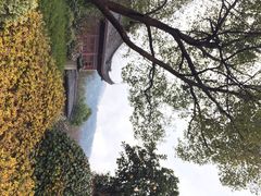 法喜寺-杭州上天竺法喜讲寺