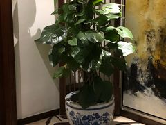 -秦乐宫