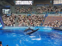 -海合安成都极地海洋公园