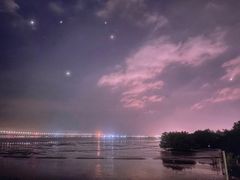 -宝安西湾红树林湿地公园