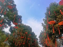 -武汉园博园(武汉自然博物馆)