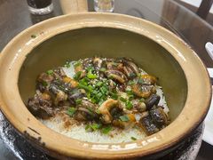 -红星光发煲仔饭(文海店)