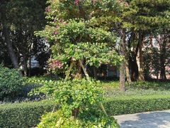 -广州雕塑公园