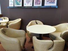 -哈根达斯(石家庄北国店)