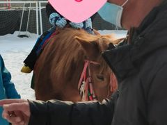 -沈阳奥体冰雪嘉年华