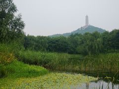 -北坞公园