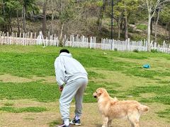 -南京市无想山景区