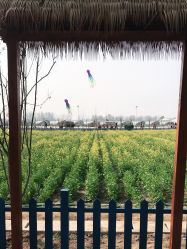-塔元庄景区