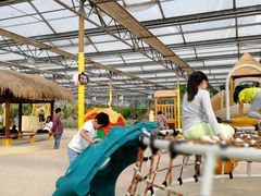 游乐设施-南宫五洲植物乐园