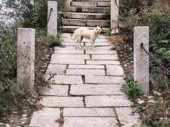 -北京凤凰岭