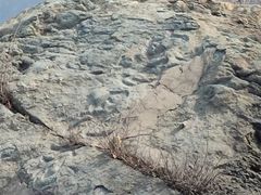 -香山公园