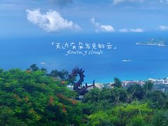 -亚龙湾热带天堂森林公园