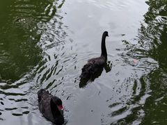 -广东茂名森林公园