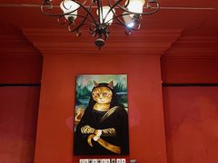 -猫色咖啡·猫咖