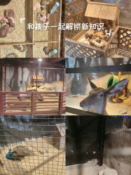 -酷嗒动物文化乐园(cutezoo西溪乐天城店)