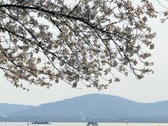 -蠡湖大桥公园